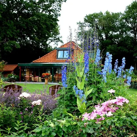 Kamperfoelie Gorssel