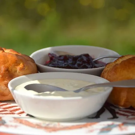 Kamperfoelie 3* Gorssel