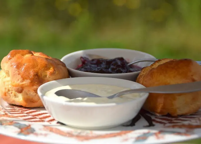 Kamperfoelie 3* Gorssel